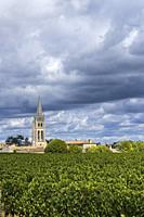 Vineyards with Saint-Emilion town, Aquitaine, Gironde, France.