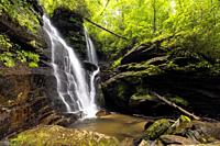 Reece Place Falls - Headwaters State Forest, near Brevard, North Carolina, USA.