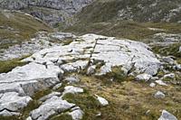 Drumlin of glacial origin formed on limestone. This photo was taken in Picos de Europa National Park, Fuente De, Cantabria, Spain.