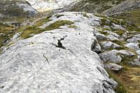 Drumlin of glacial origin formed on limestone. This photo was taken in Picos de Europa National Park, Fuente De, Cantabria, Spain.