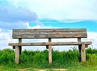 Wooden bench on grass.