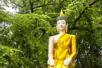 Buddha statue in the World Heritage historic city Ayutthaya, Thailand.