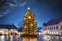 Kuressaare, Estonia - December 17, 2016: Christmas Tree In Evening Night Christmas Xmas Festive Illuminations. Christmas Tree Under Amazing Bold Brigh...