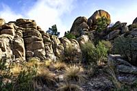 La Pedriza Regional Park, located in the Sierra de Guadarrama in the Community of Madrid, is known for its spectacular and unique granite formations. ...