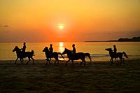 Horses riders on the beach at sunset in Nihiwatu,Sumba island,Indonesia,Southeast Asia,Asia.