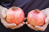 Two pomegranates.