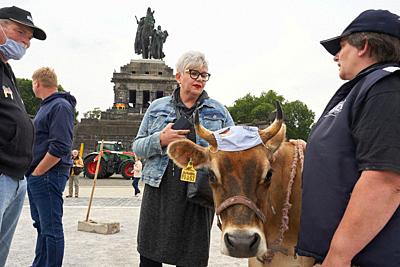 30 August 2020, Rhineland-Palatinate, Koblenz: Dairy farmers are protesting at the German Corner as part of the EU Conference of Agriculture Ministers. Photo: Thomas Frey/dpa. - Koblenz/Rhineland-Palatinate/Germany-stock-photo