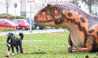 dpatop - 10 November 2020, Lower Saxony, Hanover: Dog Pelle stands in front of the model of a Carnotaurus in front of the National Museum. Several life-size dinosaur models are being built on the outdoor grounds of the Landesmuseum for the exhibition ""KinoSaurier. Between Fantasy and Research"" exhibition. The exhibition is planned to run from 4 December to 25 May 2021. Photo: Julian Stratenschulte/dpa. - Hanover/Lower Saxony/Germany-stock-photo
