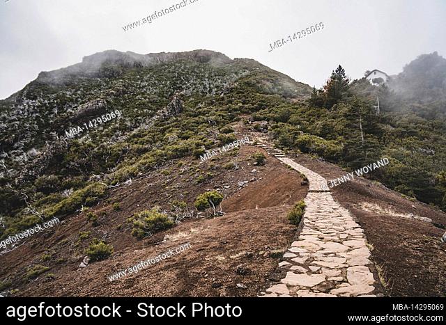 Hike to the top of Pico Ruivo, Madeira, Portugal, Europe