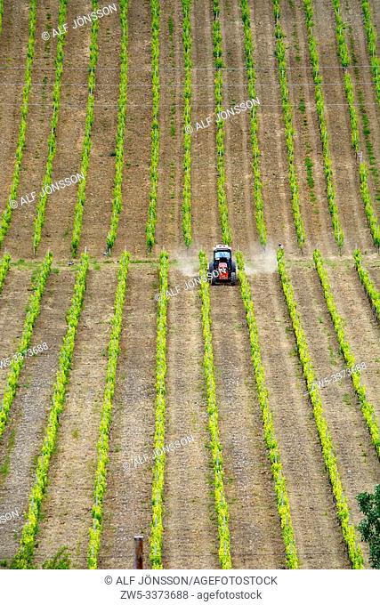 Tractor in vineyard in Basilicata, Southern Italy, Europe