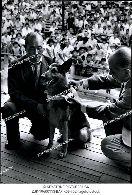 1962 - Smart dog who located starving girl in Japanese alps gets special decoration: Before a big crowd at Ueno Zoo, Tokyo a German Shepherd named 'Chic Brooks'...