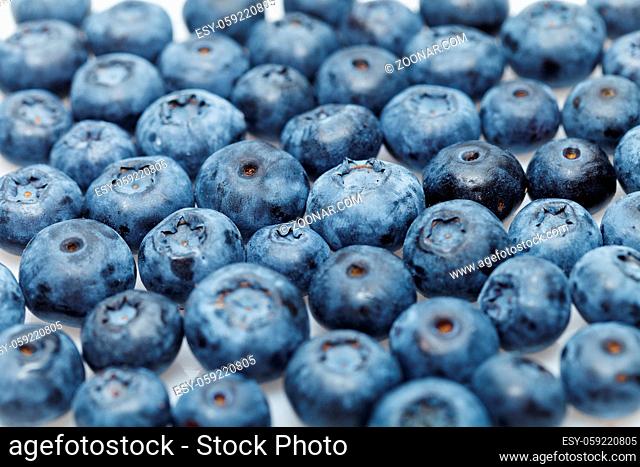 natural blueberry berries isolated on white background. copy space