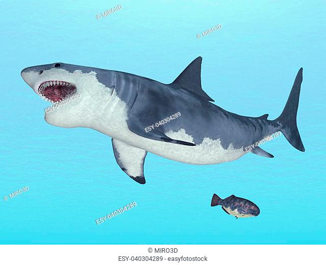 Computer generated 3D illustration with a swimming White Shark