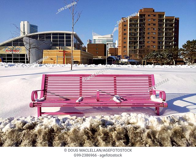 Magenta coloured bench in front of Waterworld, a soon to be shut down aquatic and recreational complex in a poor part of downtown Windsor, Ontario, Canada