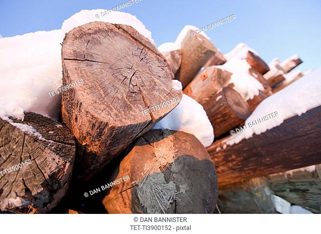 Pile of logs covered in snow