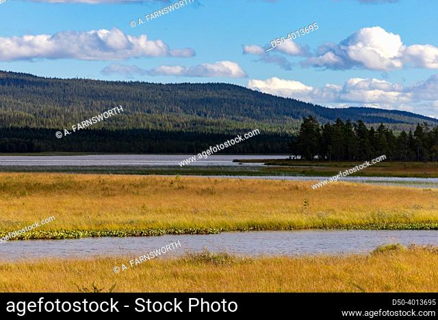 Arvidsjaur, Sweden A marshy landscape and mountains inthe vast wilderness