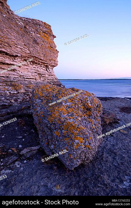 Evening mood on the coast at Gamla Hamn, limestone rocks covered with lichen, Sweden, Farö island