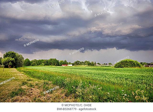 black clouds over a field in Kirchwerder, Germany, Hamburg