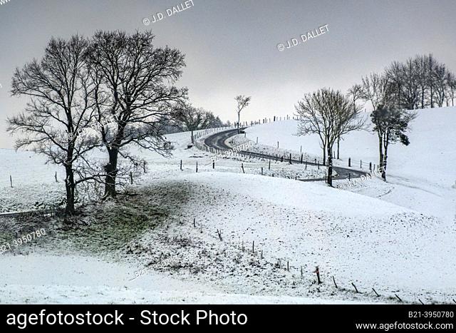 France-Auvergne Rhone Alpes- Cantal-  winter near Boisset