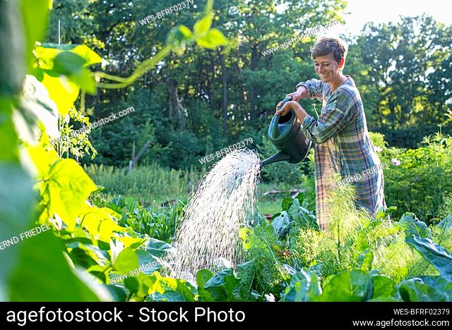 Smiling woman watering vegetables in organic farm
