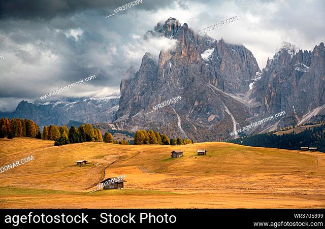 Landscape with beautiful autumn meadow field and the amazing Dolomite rocky peaks. Valley of Alpe di siusi Seiser Alm South Tyrol Italy. Autumn season