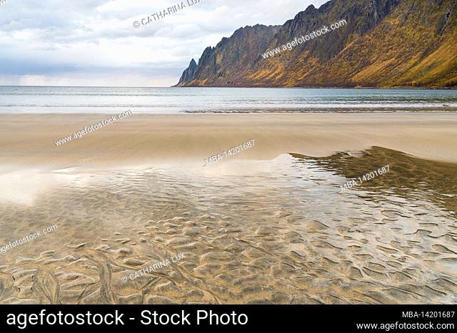 Norway, Senja, Skaland, Ersfjord, beach, sand structures at low tide