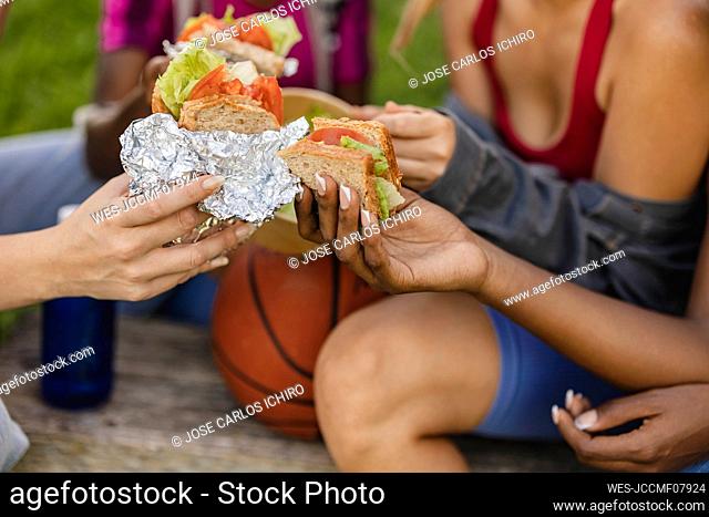 Women holding sandwich in park