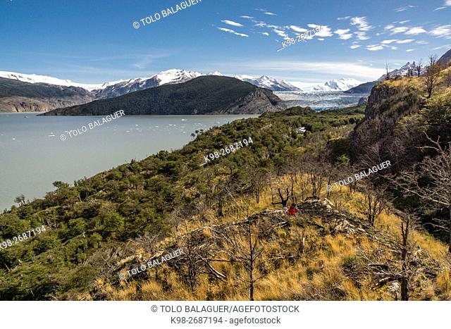 refugio y glaciar Grey, valle del lago Grey, trekking W, Parque nacional Torres del Paine, Sistema Nacional de Áreas Silvestres Protegidas del Estado de Chile