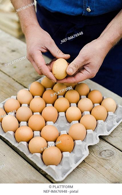 Farmer showing a box of eggs