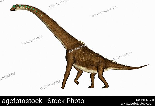 Giraffatitan dinosaur walking isolated in white background - 3D render