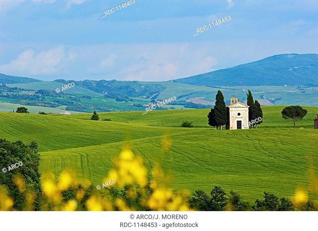 Val d'Orcia, Orcia Valley, UNESCO World Heritage Site, Cappella di Vitaleta, Vitaleta Chapel, Pienza, Siena Province, Tuscany, Italy, Europe