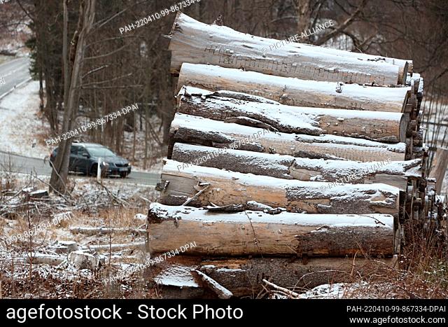 10 April 2022, Saxony-Anhalt, Drei-Annen-Hohne: Logs covered with snow lie on the roadside in the Harz district near Drei-Annen-Hohne