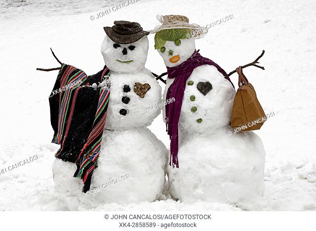 snow couple, Maryland, US