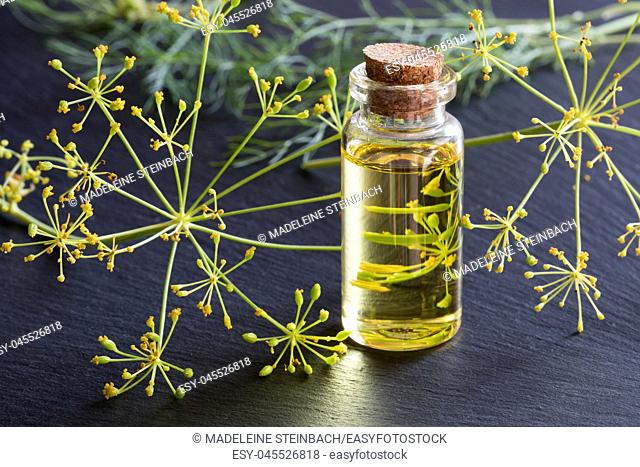 A transparent bottle of dill seed oil with fresh dill in the background
