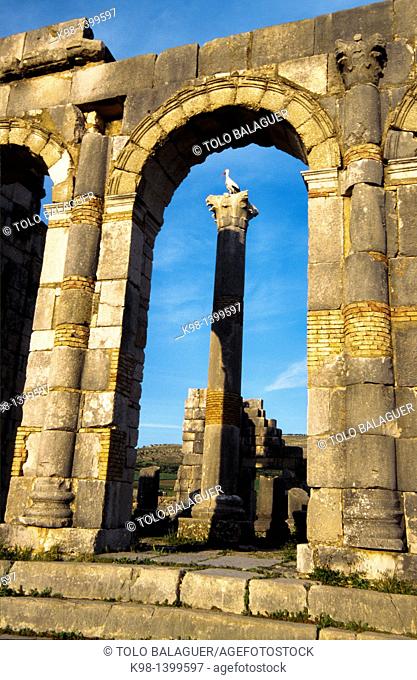 Basilica, Roman ruins of Volubilis, 40 bc, Fez, Morocco
