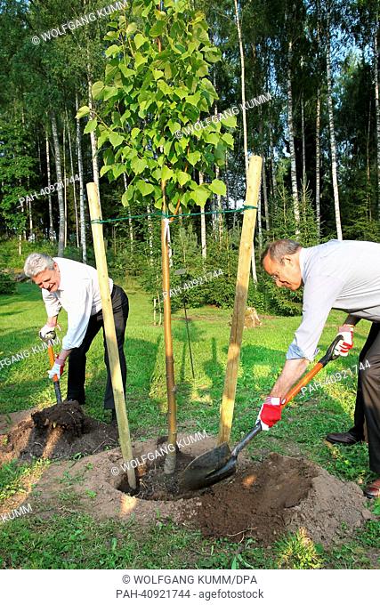German President Joachim Gauck (L) and Estonian President Toomas Hendrik Ilves plant a lime tree at the Estonian President's summer residence in Aerma Talu