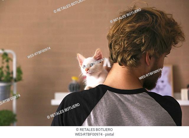 Back view of man with kitten on his shoulder