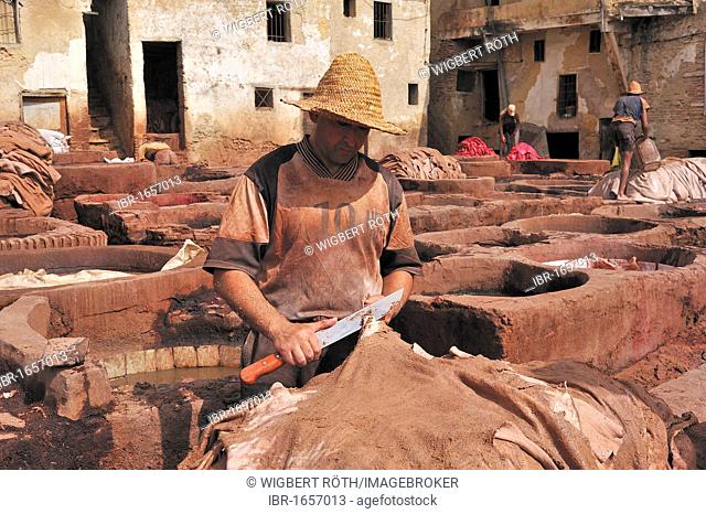 Worker cutting a skin with a large knife in a tannery, tanners and dyers quarter, Fez, Morocco, Africa