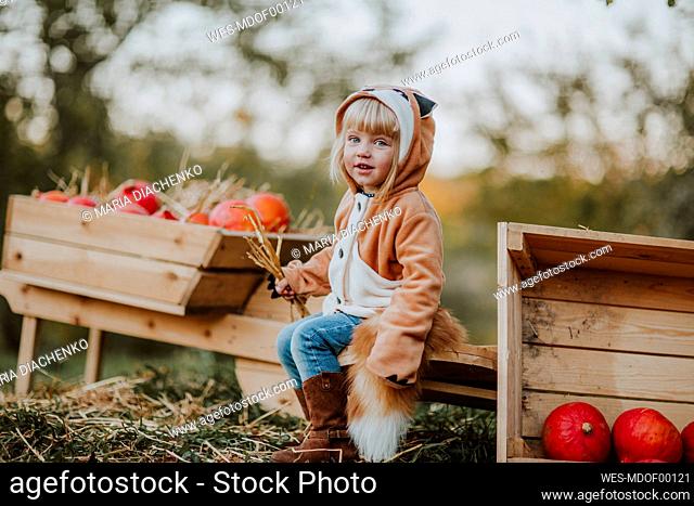 Girl wearing fox costume holding dry grass sitting on wooden wheelbarrow