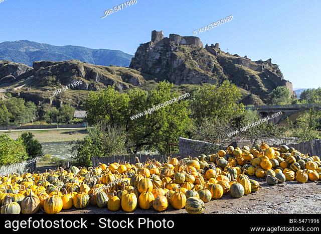 Pumpkin farm, behind the ruins of Atskuri Castle, Samtskhe-Javakheti region, Georgia, Asia