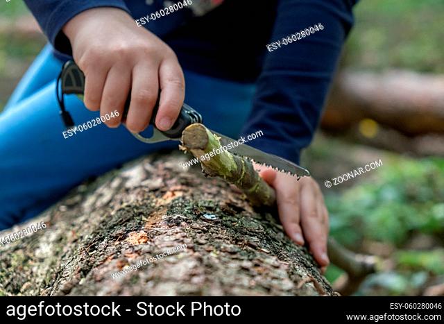 Hands of little girl or boy using a Swiss knife, sawing a piece of wood in the forest, outdoor survival and camping, fun in the woods, nobody