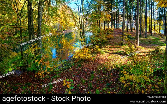 Forest meadow on shore of picturesque lake. Vilshany water reservoir on the Tereblya river, Transcarpathia, Ukraine. Beautiful autumn day in Carpathian...