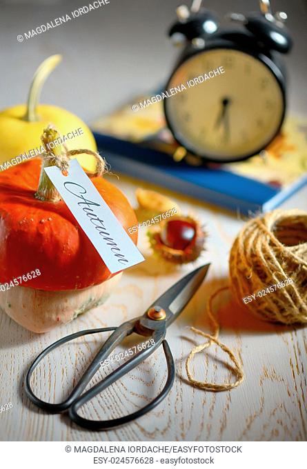 still life with pumpkins, scissor and rope