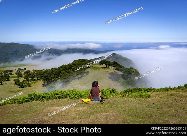 Laurissilva forest in the Fanal area in the Portuguese island of Madeira, July 20, 2022. (CTK Photo/Frantisek Gela)