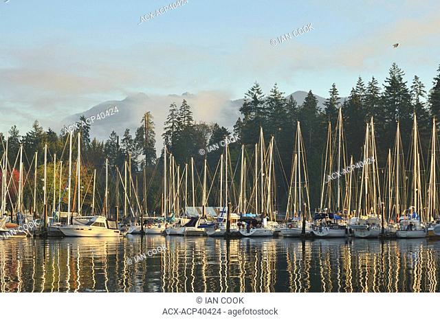 Vancouver Rowing Club Marina, Stanley Park, and North Shore mountains, Vancouver, British Columbia, Canada