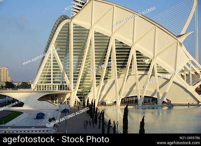 Santiago Calatrava's Museo de las Ciencias Principe Felipe. Ciudad de las Artes y las Ciencias, an architectural, cultural and entertainment complex designed by...