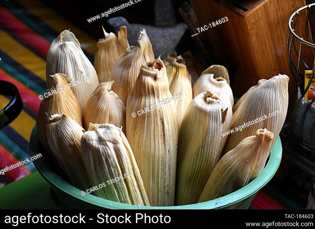 TEPOZTLAN, MEXICO - JANUARY 16: The Housewife Isabel prepares 'Tamales' traditional Mexican food who are cooked in this season to celebrate the candlemas day