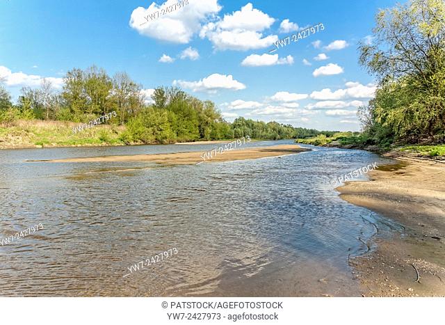 Vistula riverbank in Lawice Kielpinskie nature reserve near Kepa Kielpinska, Poland