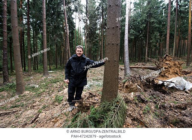 Director of the Saxony Bomb Disposal Service Thomas Lange stands in a patch of forest after the detonation of a WWII aerial bomb between Karsdorf