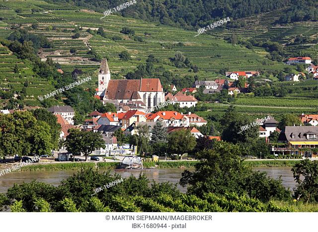 Spitz, view overlooking vineyards in Oberarnsdorf, Danube, Wachau, Waldviertel, Mostviertel, Lower Austria, Austria, Europe